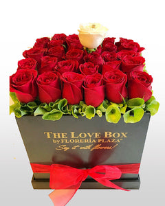The Love Box 27 A Rosas Rojas
